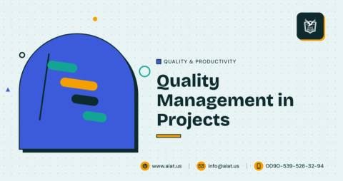 Quality Management in Projects