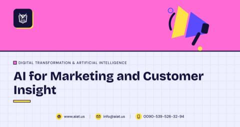 AI for Marketing and Customer Insight