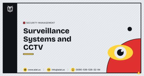 Surveillance Systems and CCTV