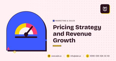 Pricing Strategy and Revenue Growth
