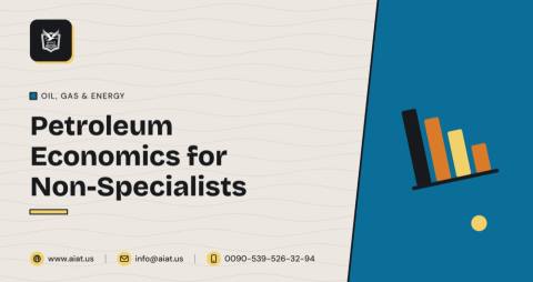 Petroleum Economics for Non-Specialists