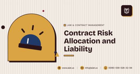 Contract Risk Allocation and Liability