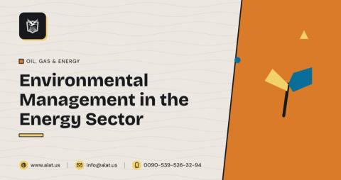 Environmental Management in the Energy Sector