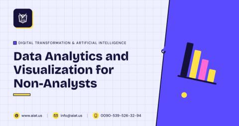 Data Analytics and Visualization for Non-Analysts