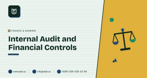 Internal Audit and Financial Controls